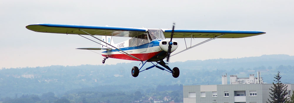 piper4