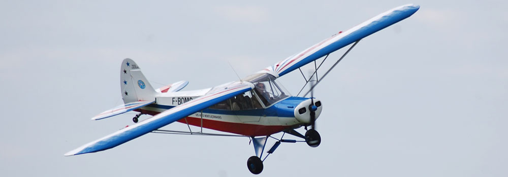 piper6